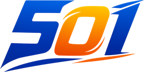 Logo 501